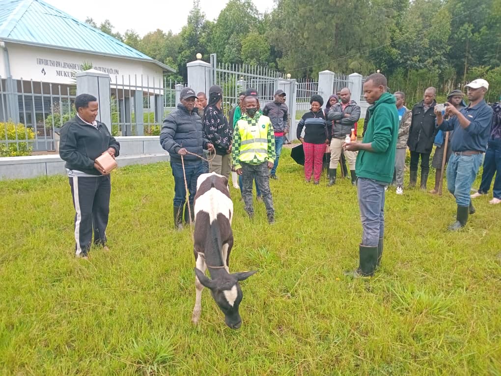 RYVCP-Huye District tweet media