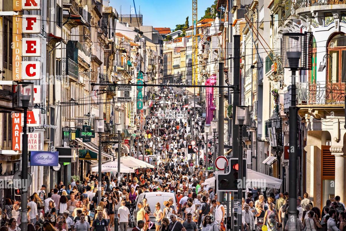 NOVA PORTUGAL tweet media