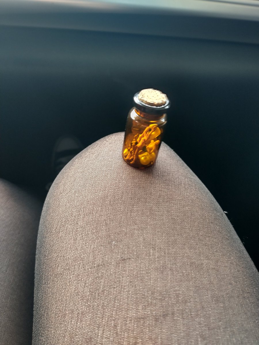 🕊️Gullivette🪶 tweet media