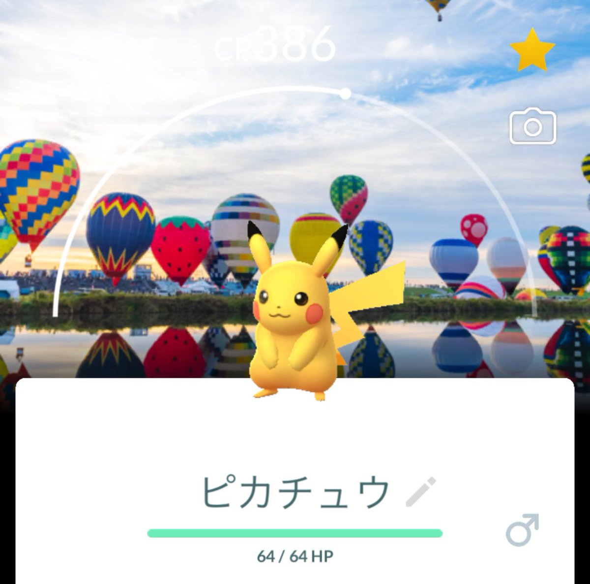 せいや tweet media