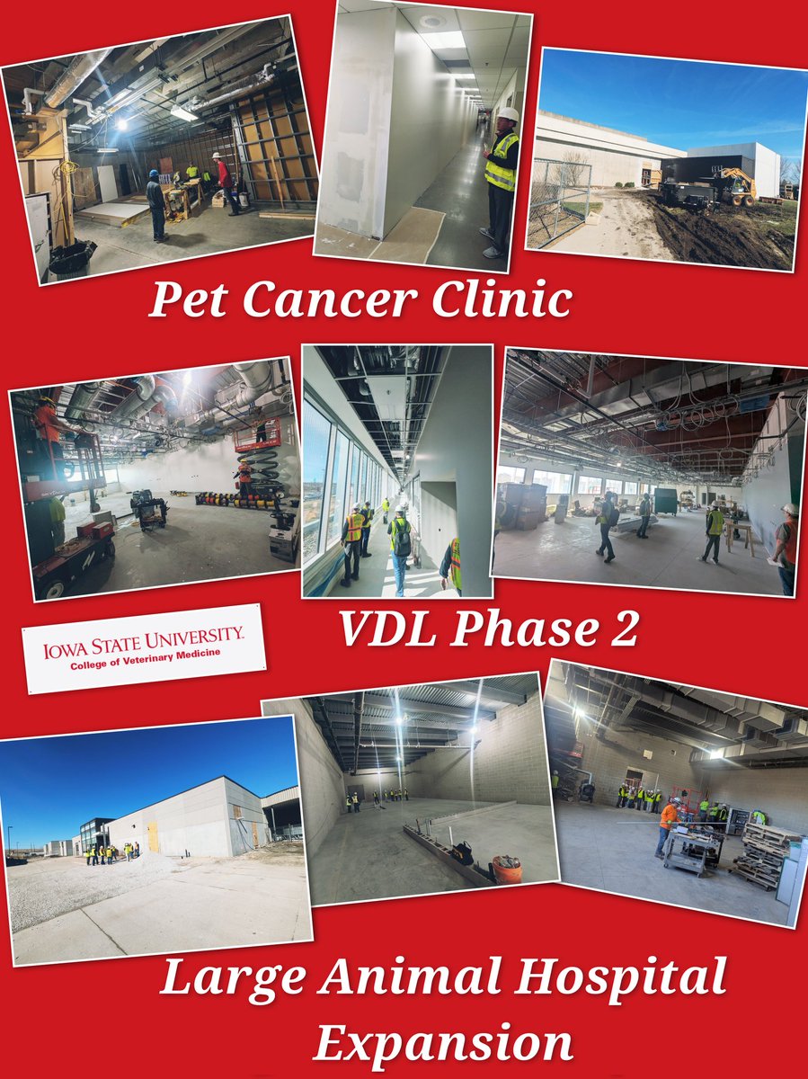 DanGrooms's tweet image. With spring break and spring weather upon us, I took an opportunity to tour our three ongoing capital projects ... the Pet Cancer Clinic, VDL Phase 2, and Large Animal Hospital Expansion projects. Exciting times @ISUVetMed supporting our mission to #DiscoverDevelopDeliver