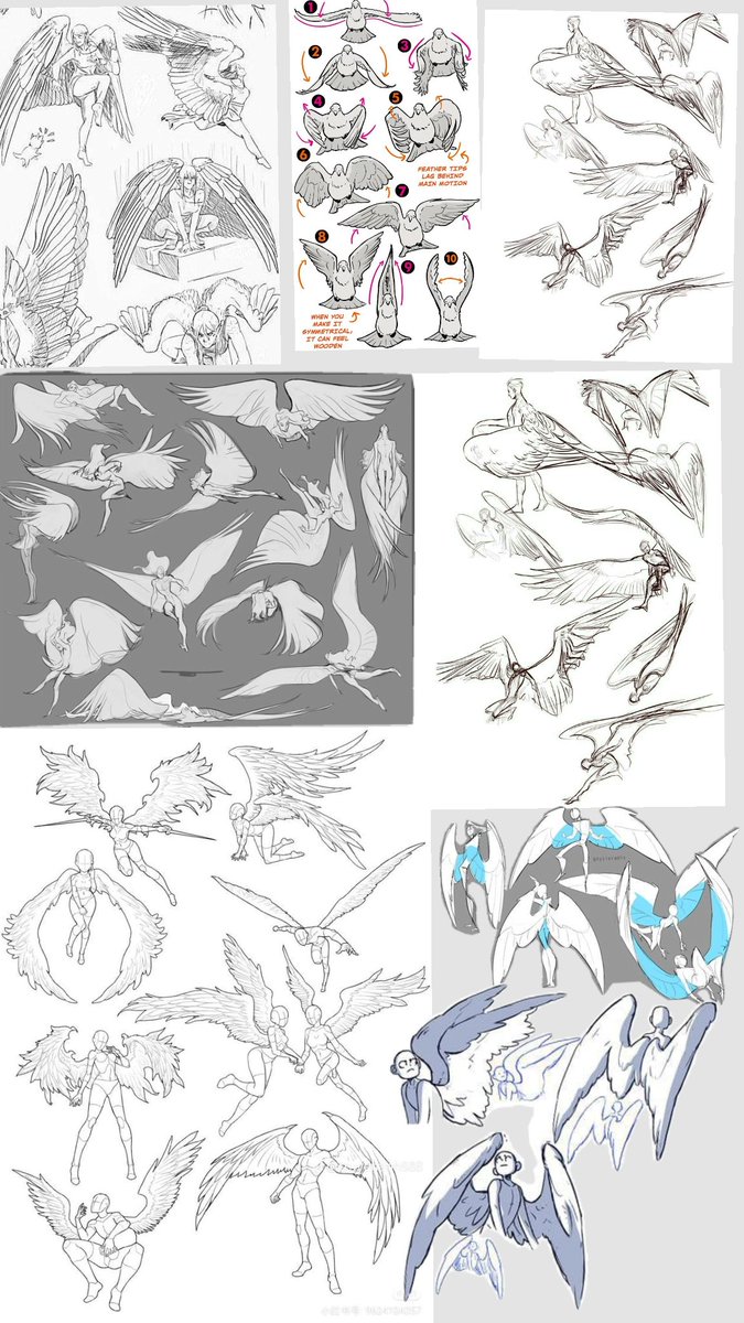 Next Step © tweet media