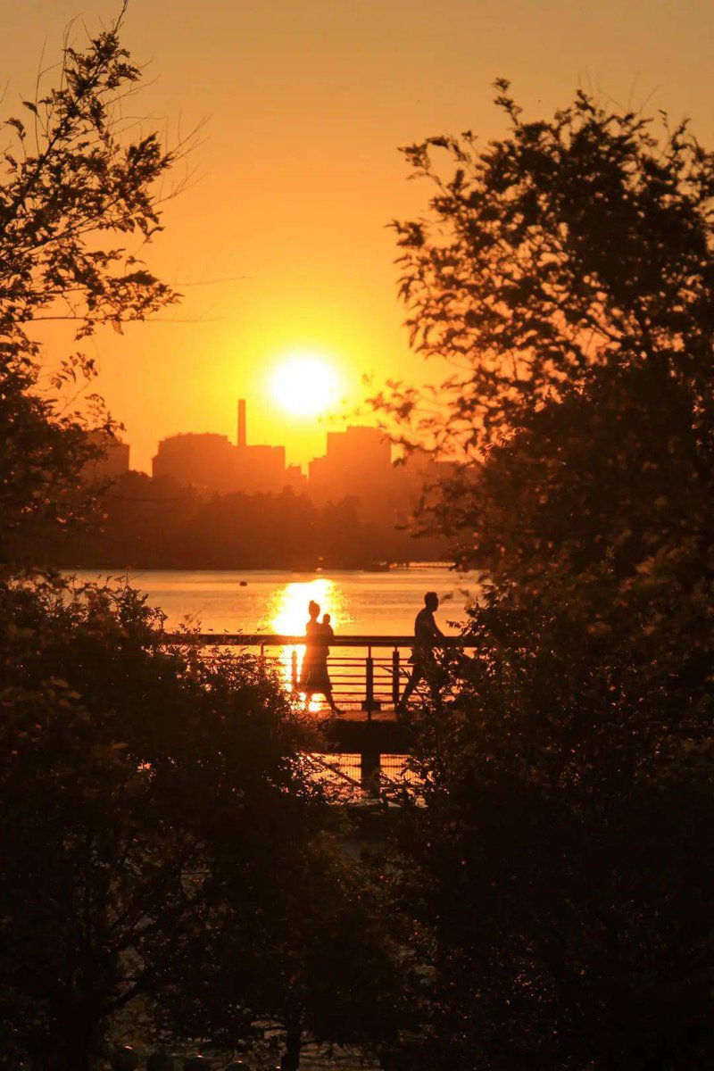 Yvette Tacbas tweet media