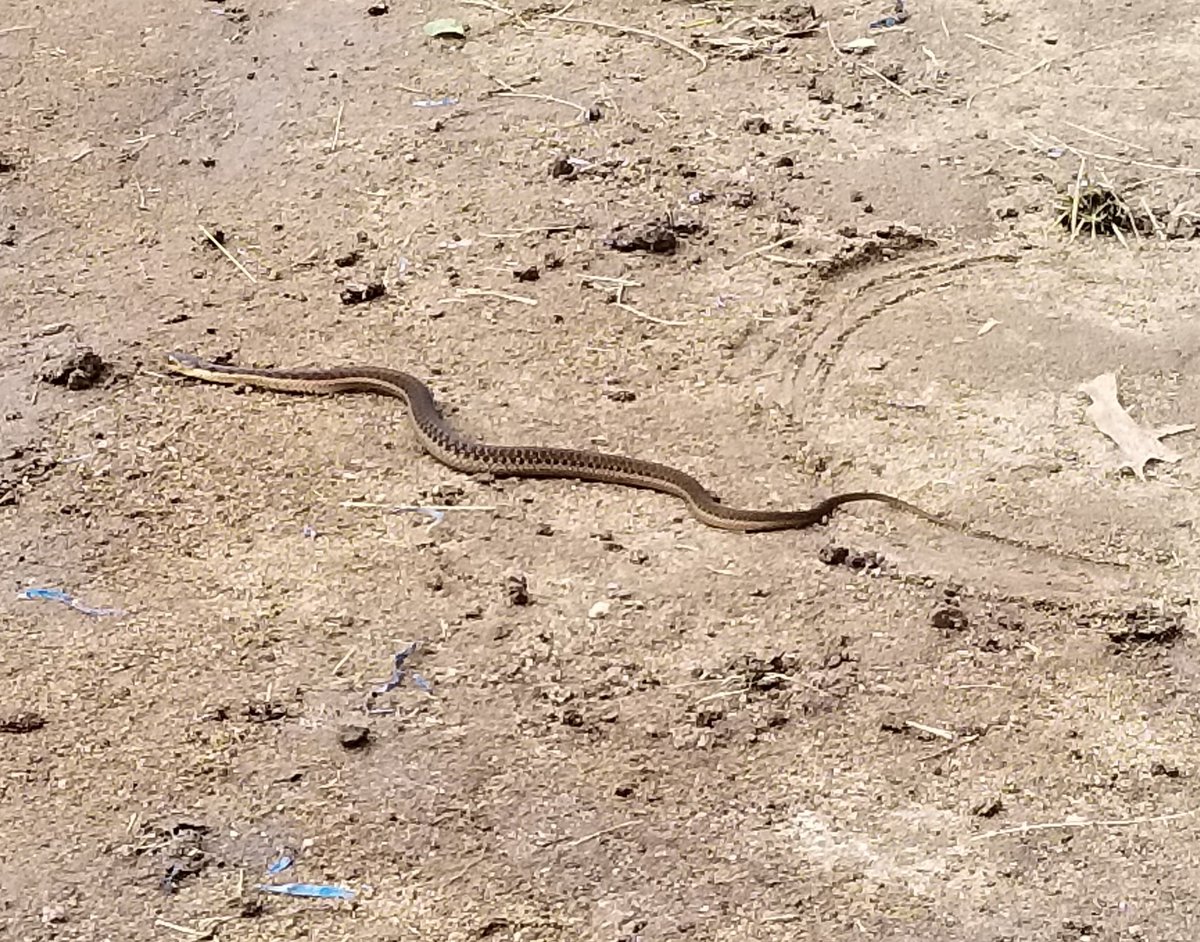 mattsince1978 tweet media