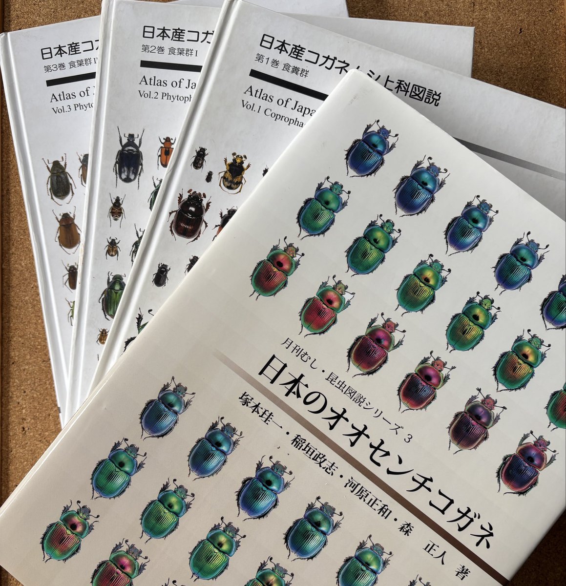 pureforest_sb's tweet photo. 3/22(日) ビーマニに出店させていただきます。　リストです。　目玉は黒島産ミヤマ♀とデキピエンスノコペアかな。。。♡    メンバーはゆーたろ＆ミミです。　ゼヒゼヒお立ち寄りくださいませネ♡ https://t.co/4PIPasSkEP