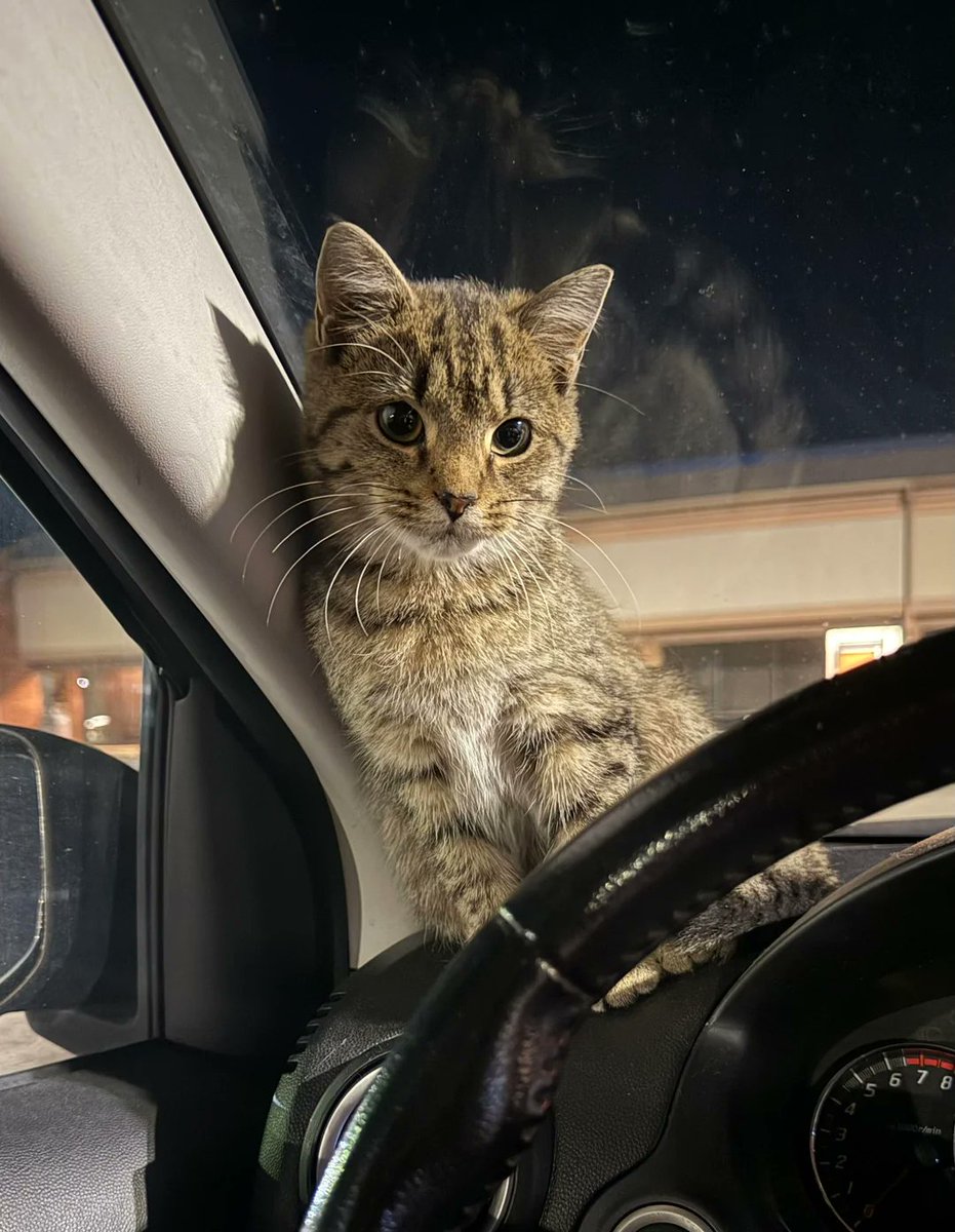 Robinstick tweet media