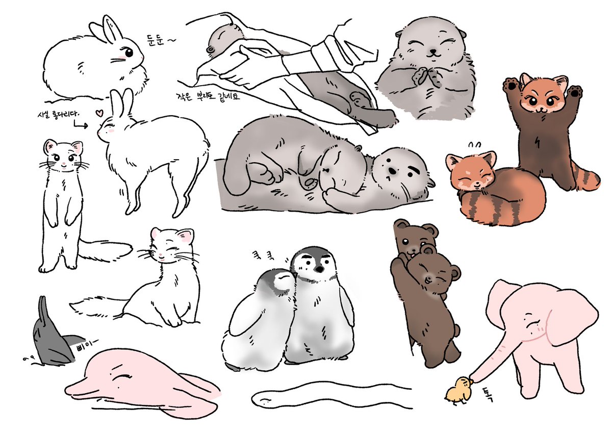 도토리수집가 tweet media