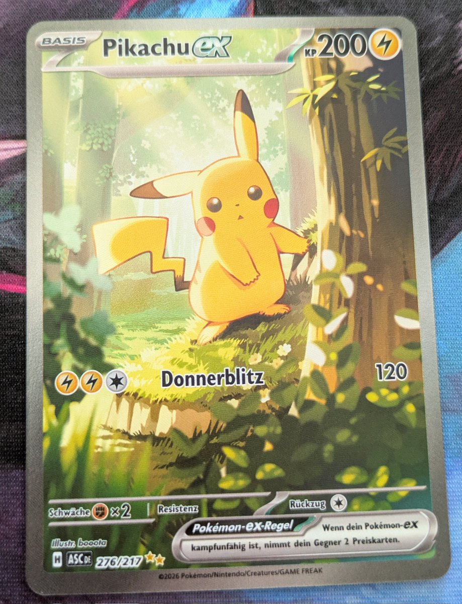 Finny 🦕 tweet media