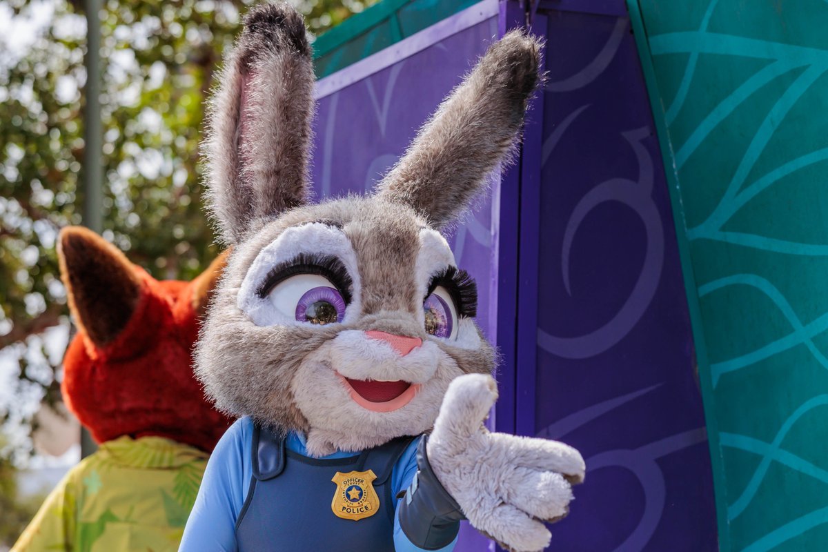 harold1791's tweet image. Good morning all and Happy Saturday! We watched Zootopia 2 last weekend and I think I liked it better than the original 😆 Hope you all have a magical day! #MagicKingdom #Zootopia2 #JudyHops #Disney #WaltDisneyWorld #WDW