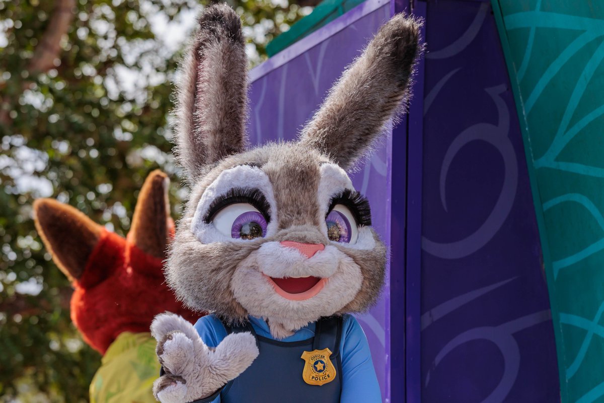 harold1791's tweet image. Good morning all and Happy Saturday! We watched Zootopia 2 last weekend and I think I liked it better than the original 😆 Hope you all have a magical day! #MagicKingdom #Zootopia2 #JudyHops #Disney #WaltDisneyWorld #WDW