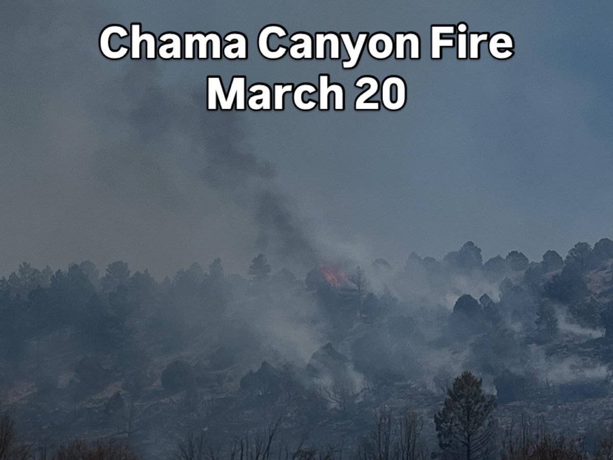 CO - Emergency Mgmt tweet media