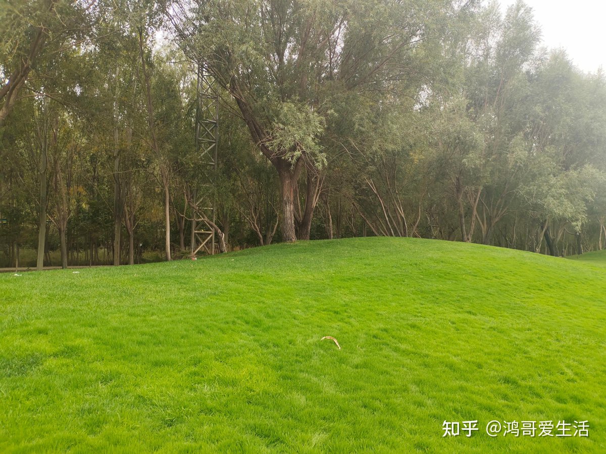 Kerry Allis tweet media