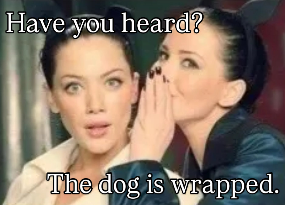 Wrapped Dog Favorites tweet media