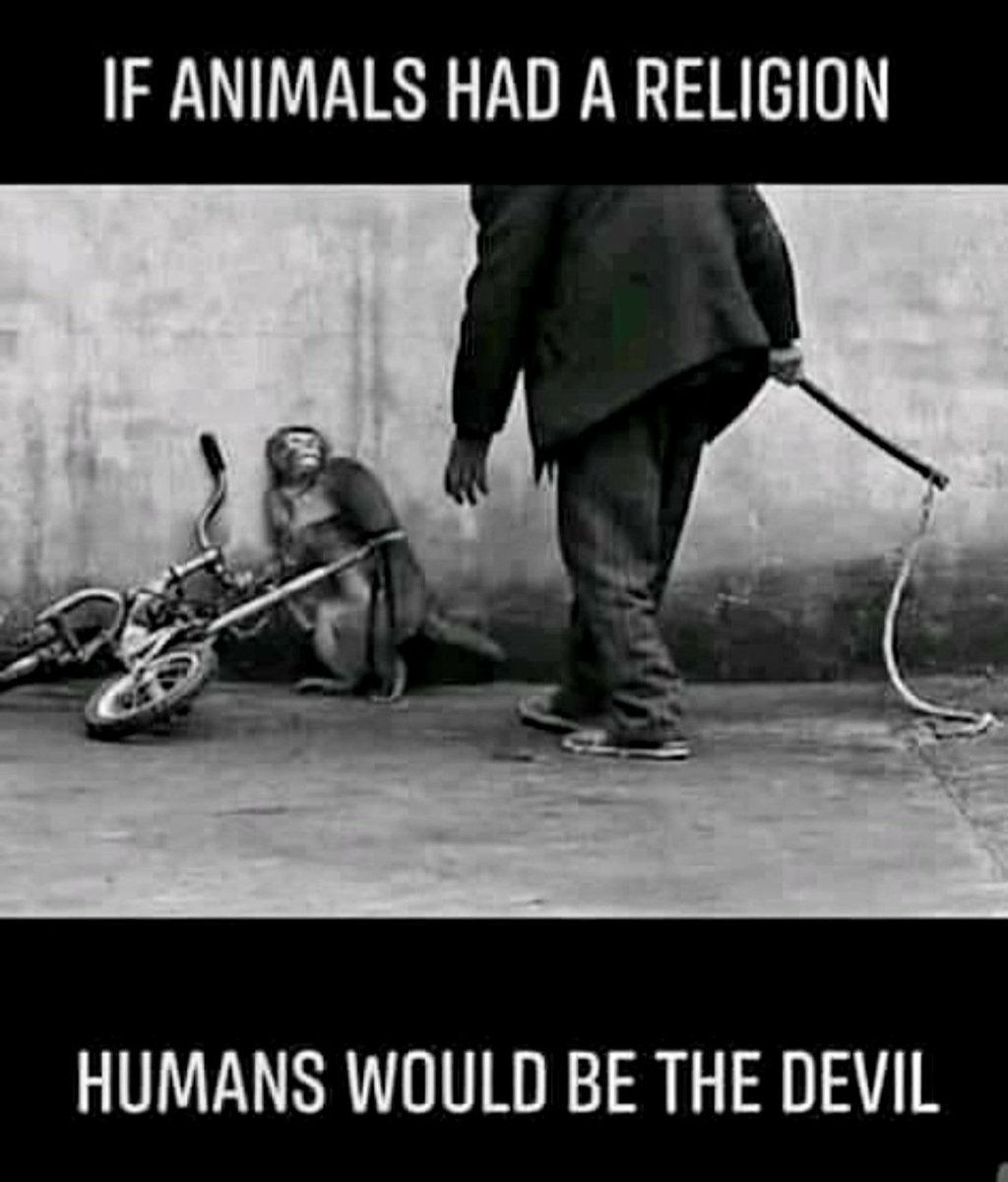 Thursday tweet media