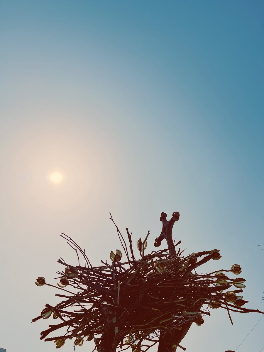 不在性書店 BE ABSENT tweet media