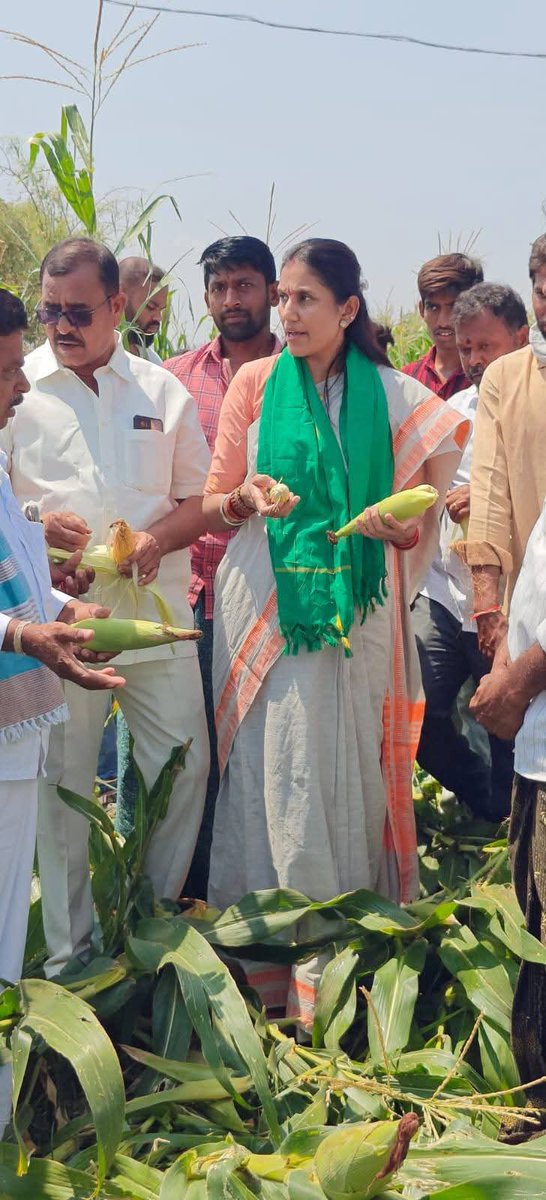 YSRCParty's tweet photo. https://t.co/MOZ9HDNRwq