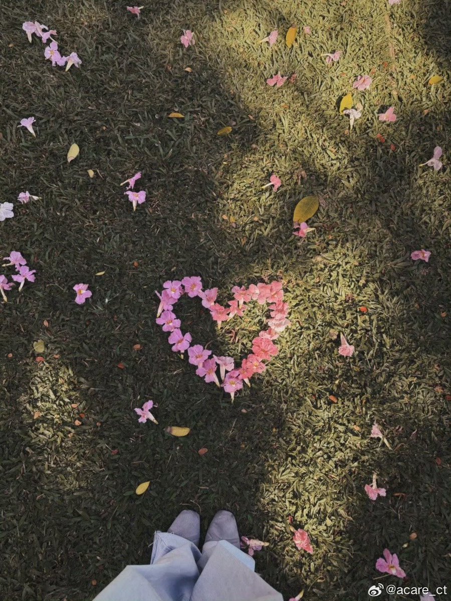 𝖠͟𝖼͟𝖺͟𝗋͟𝖾. tweet media