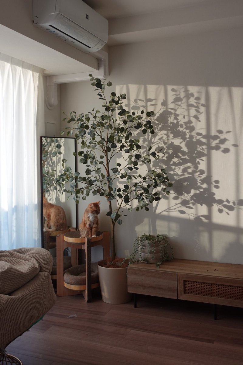 nonpedophile tweet media