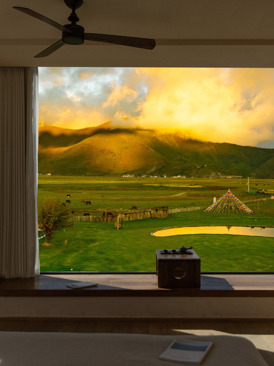 mike tandayag tweet media