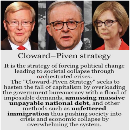 Wayne Johnson tweet media