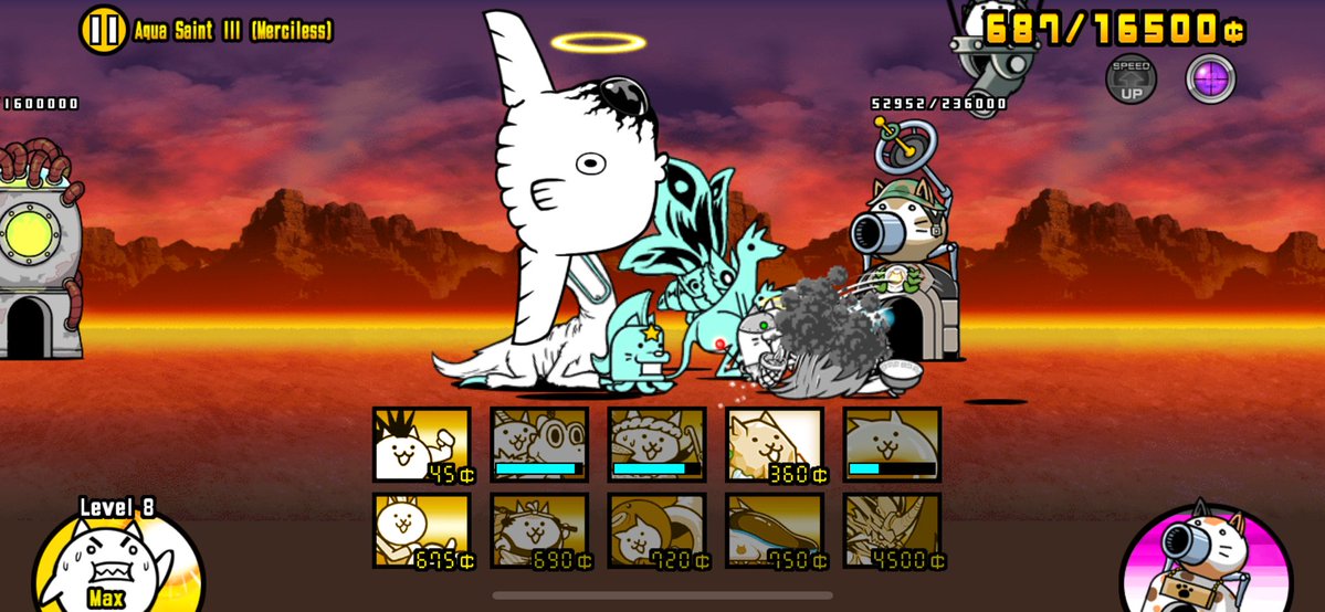 🌻 pollip 2 🌻 tweet media