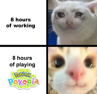 Pokémon Daily Post💫 tweet media