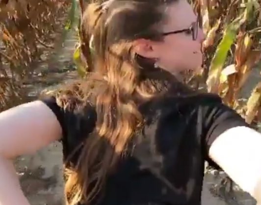 AlphaNumericX tweet media