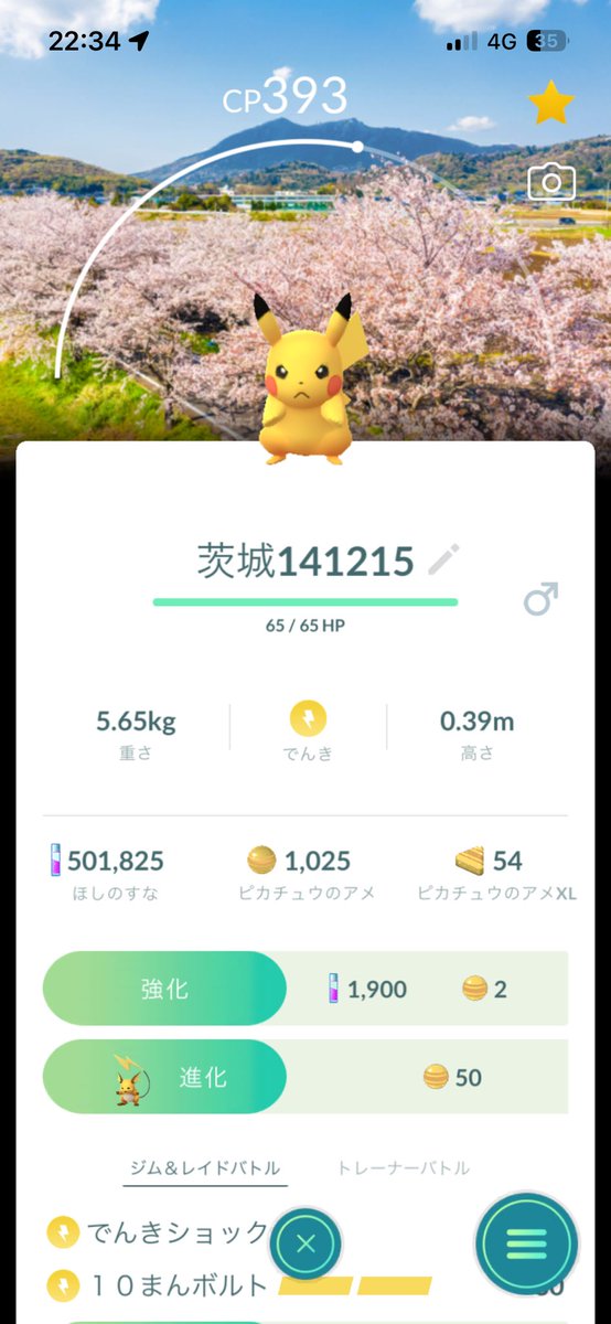 XXTaiyo225XX tweet media