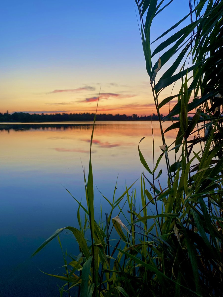 Angelica Shalagina🇺🇦 tweet media