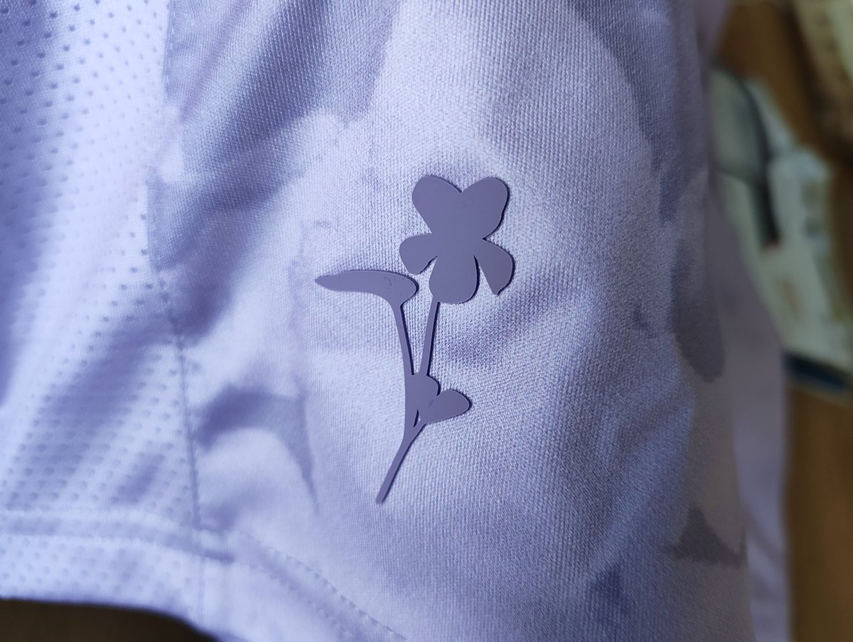 R. R. Hutchinson - author tweet media