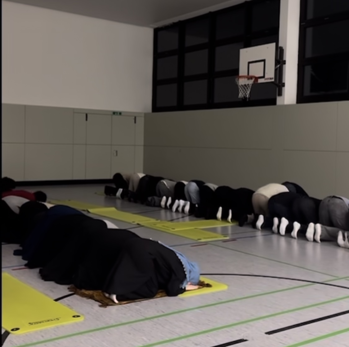 Laura Sachslehner tweet media