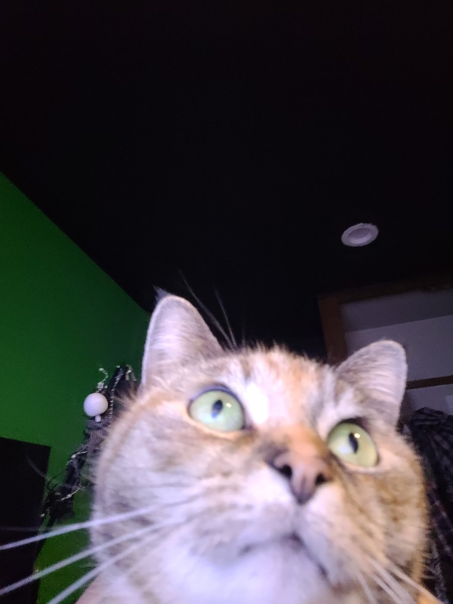 Deedle ☯️🪬 tweet media