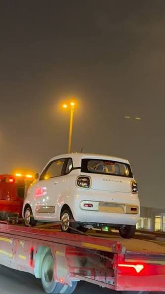 ابو اصىيل| الاحتياطي tweet media