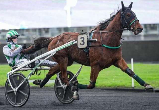 Pronosticpmu_fr's tweet photo. KARAMBAR (5 - Alexandre Abrivard) notre favori pour le #quinté + du jour à Vincennes (Prix Jean Cabrol - R1-C5 - 14 partants - Trot Attelé - 2.700 m. - Piste en dur (GP) - Corde à gauche - Terrain: Bon)

Départ prévu à 15H15

https://t.co/mXxYptA0n8 https://t.co/AJi7ZUqJ6z