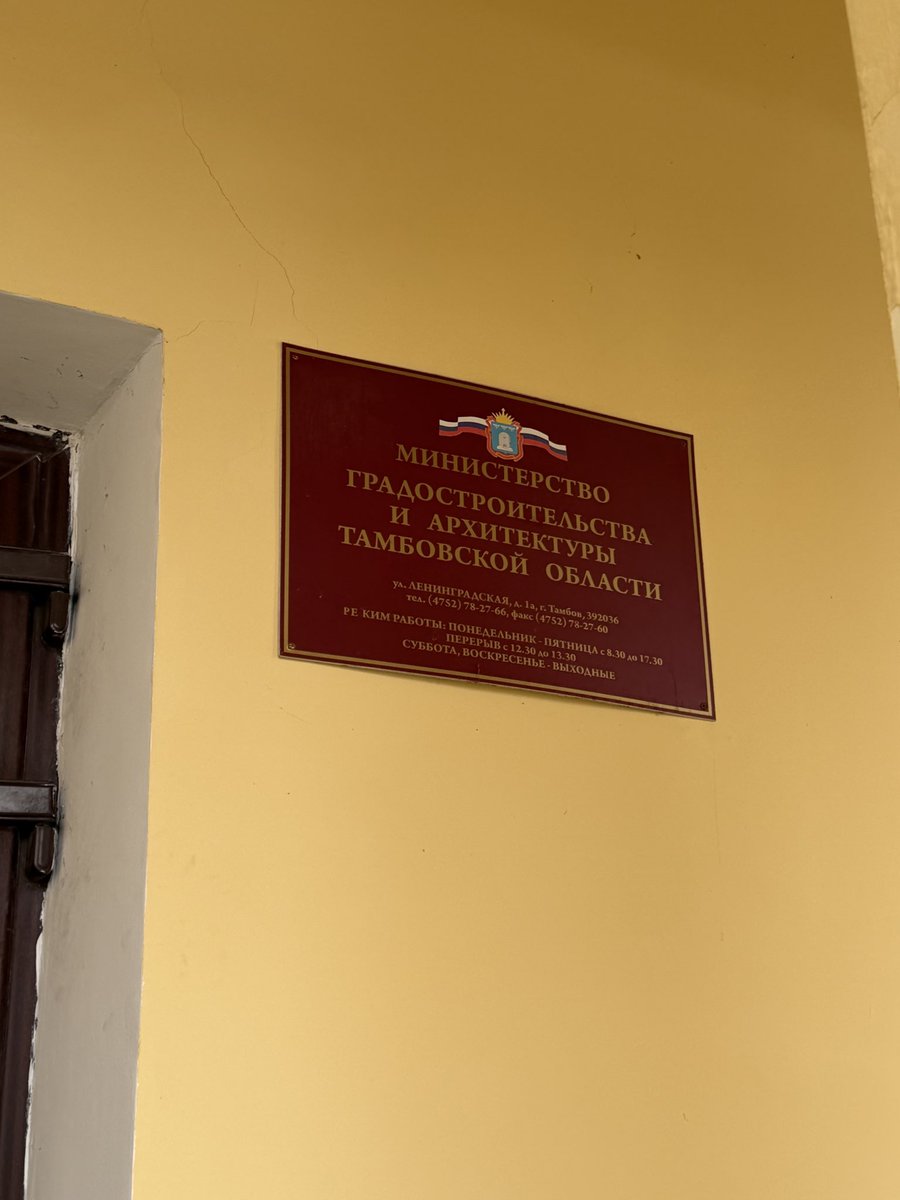 Кошачья Леди tweet media