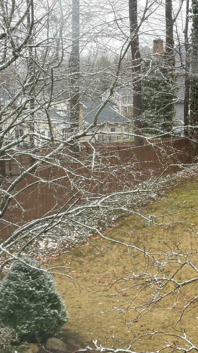 Ben Spath tweet media