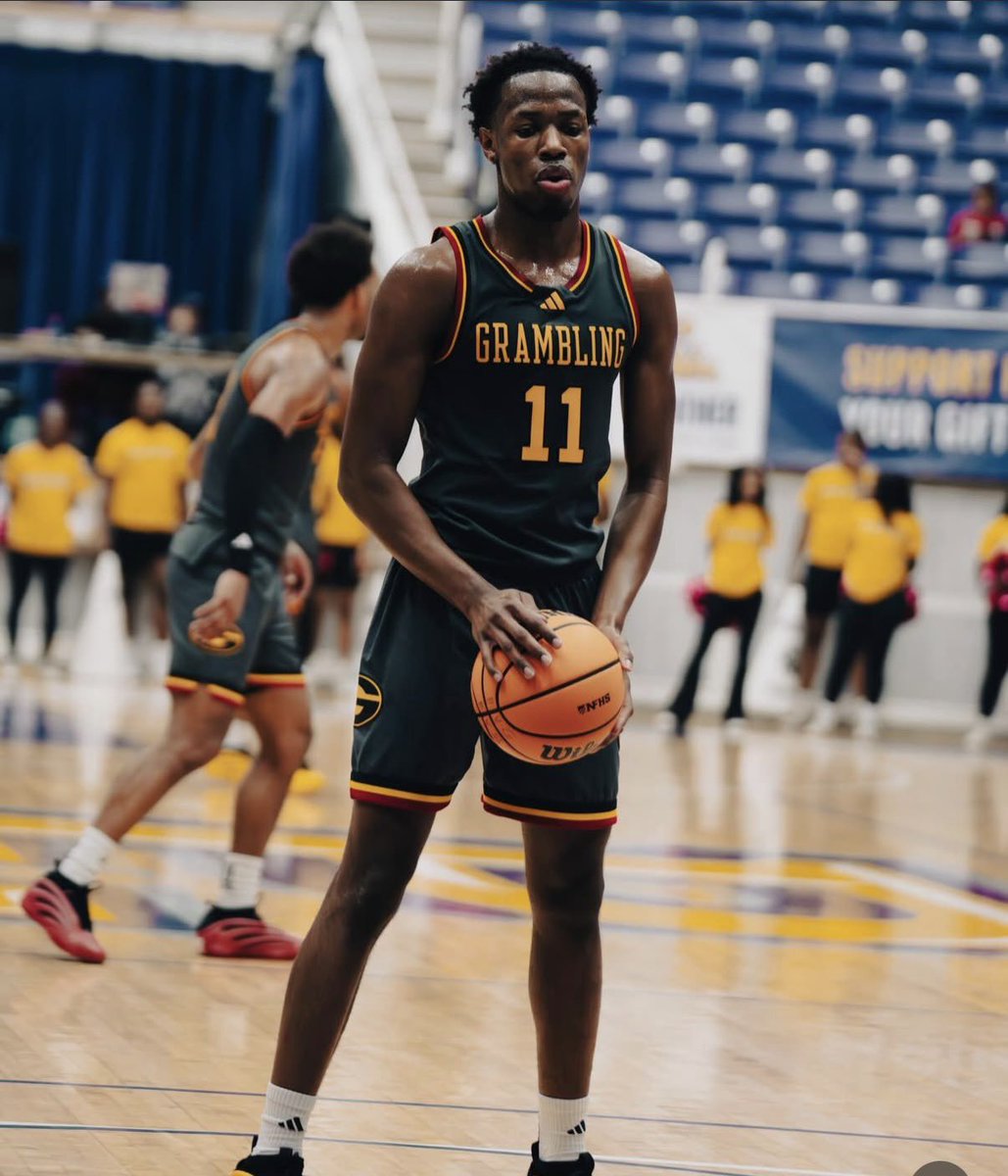 Tobias Bass tweet media