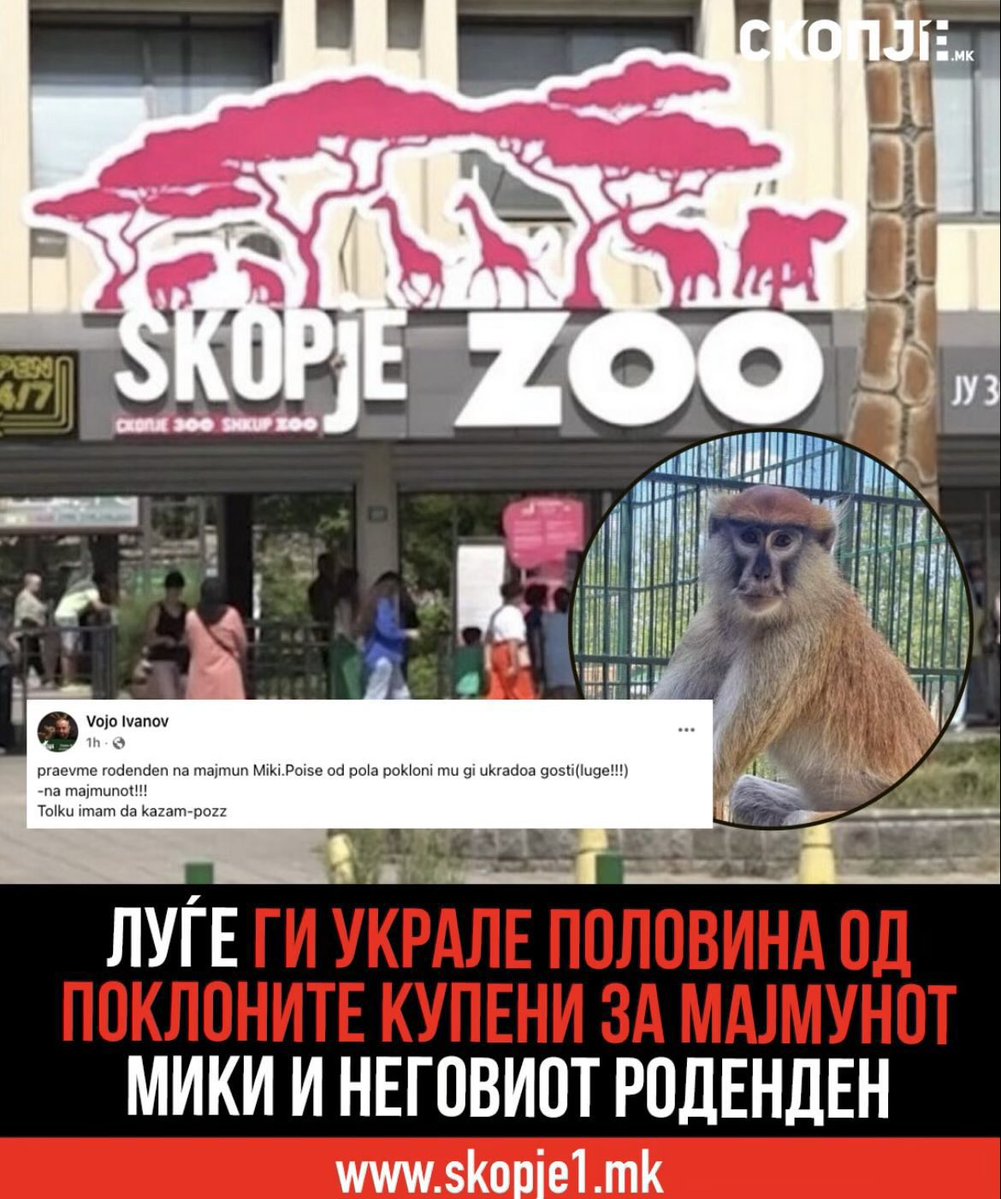 Џорџо Мородер Џорџо tweet media