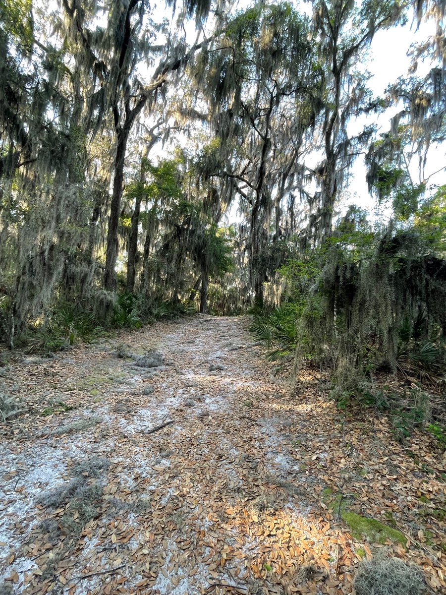 Ruf. Omn. Rex tweet media