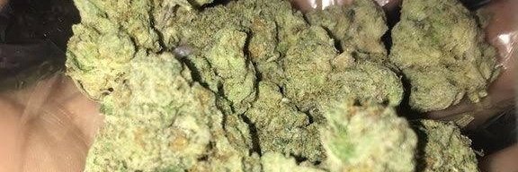 ovnikush20 tweet media