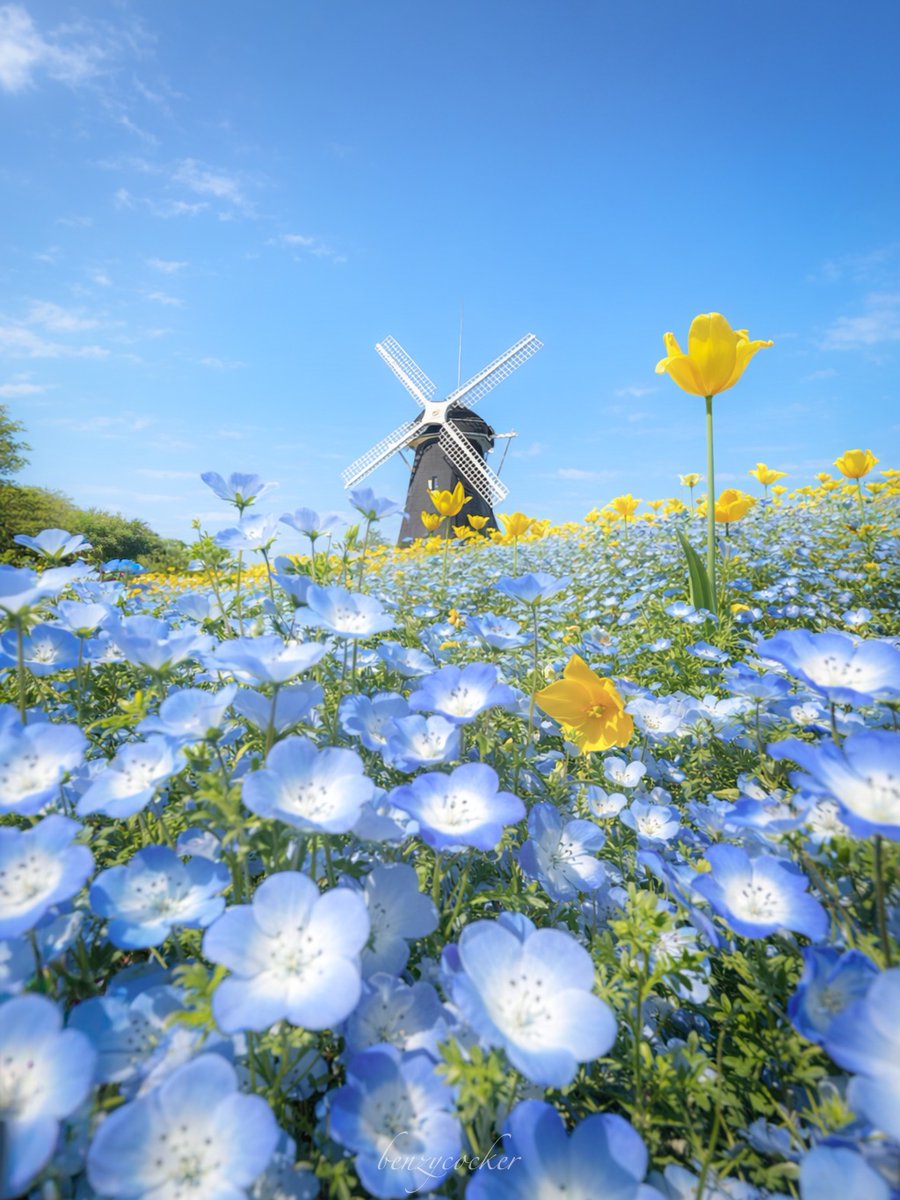 ベンジー tweet media