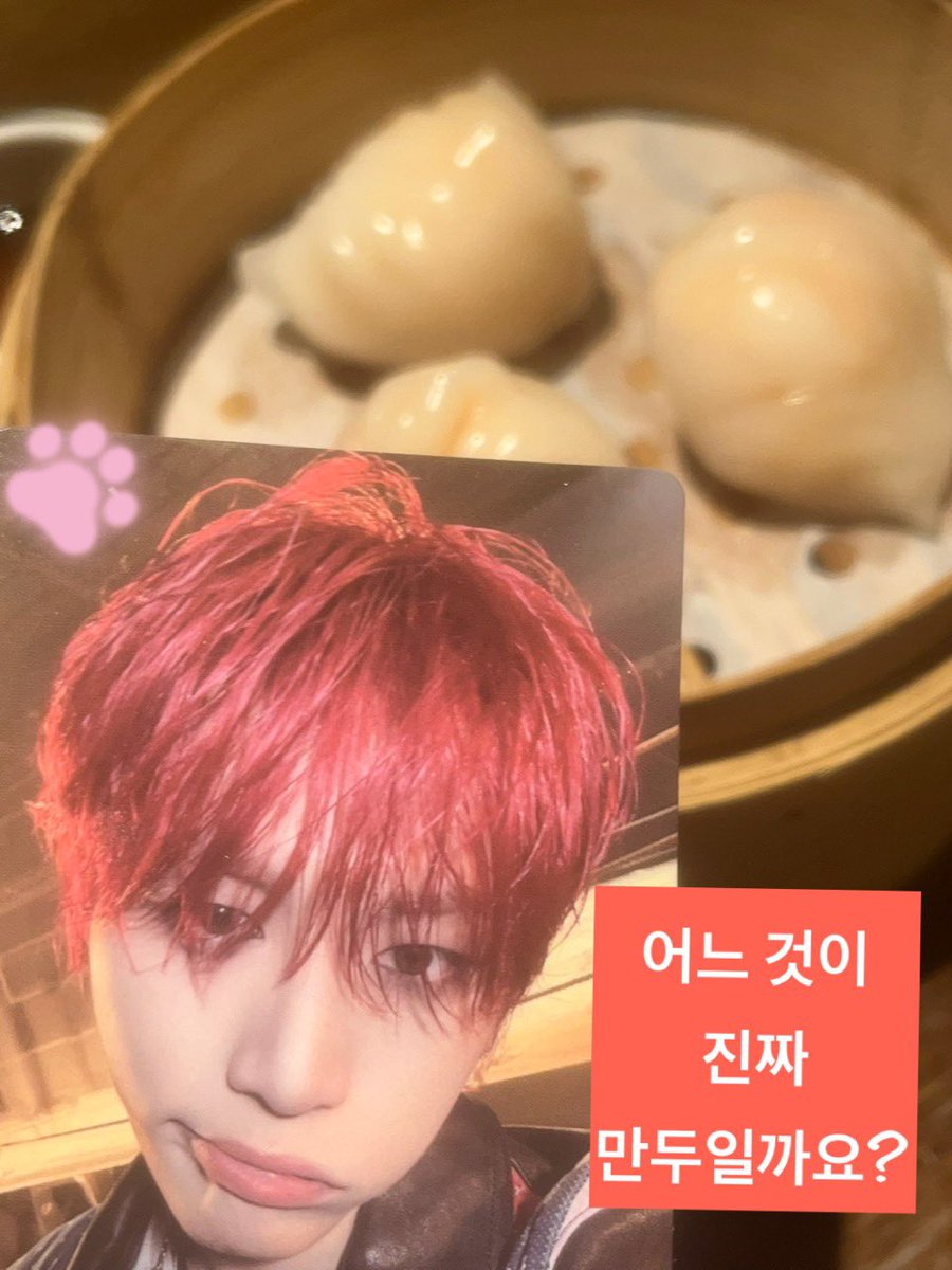 do_ngmin_'s tweet photo. 만두랑 동민이
똑같을까 다를까? https://t.co/sUOb8pYSP3