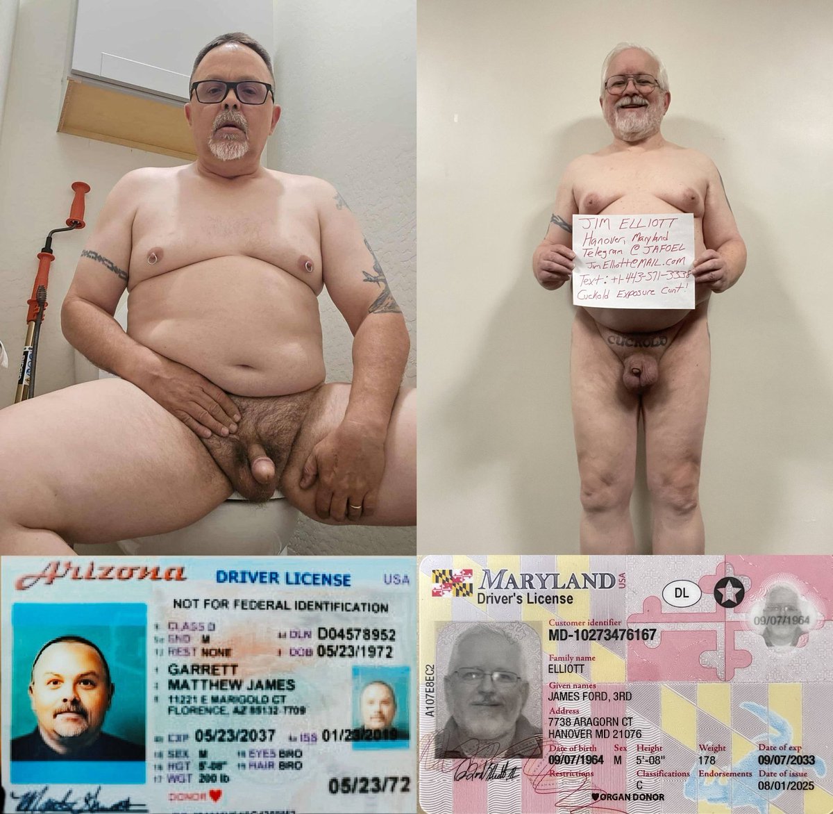 Sirexposealot tweet media