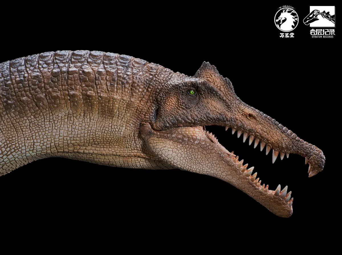 超变EdenBuster tweet media