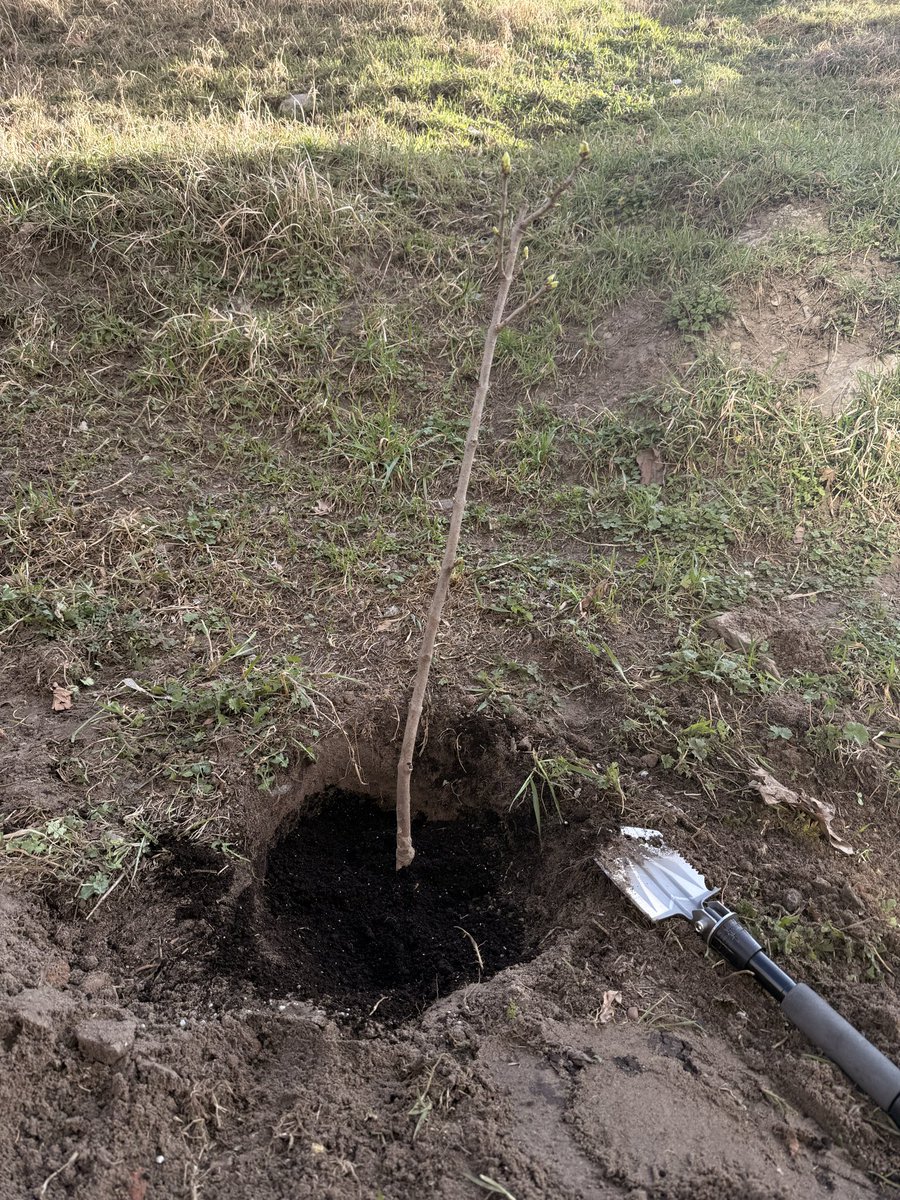 джерела пружно б'ють 🇺🇦 tweet media