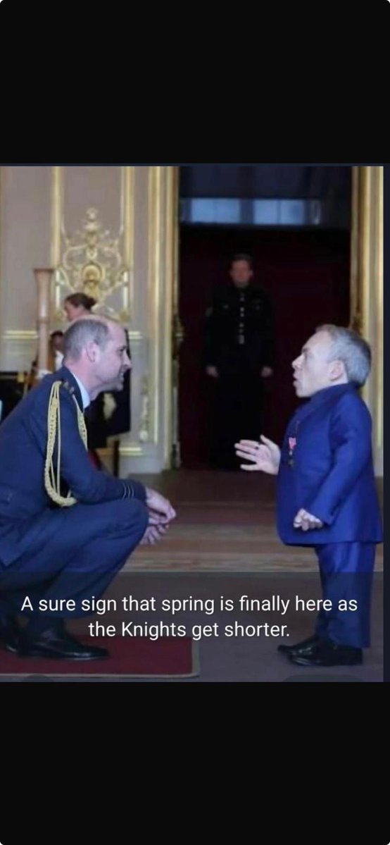 Jokerswild tweet media