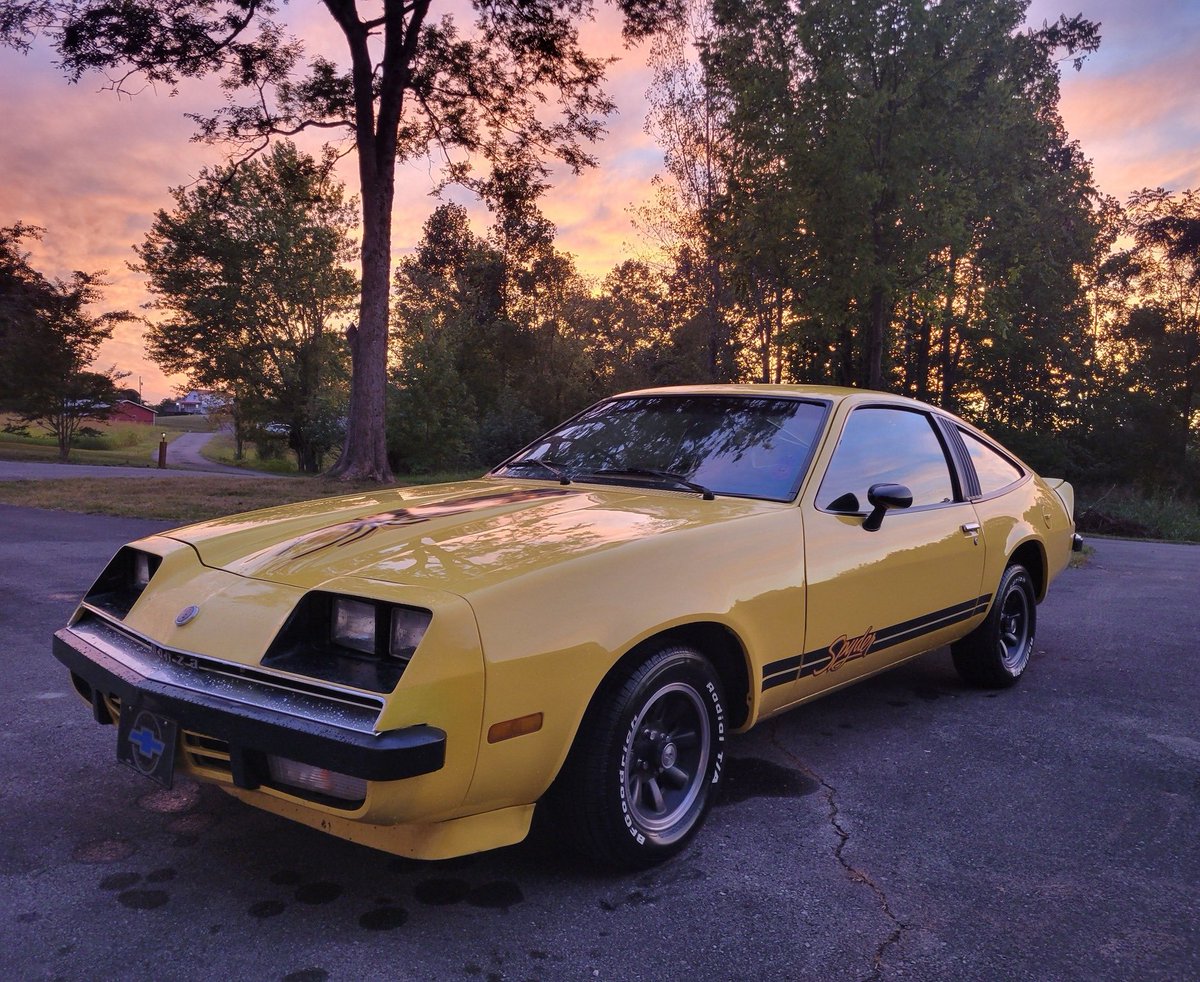 Bandit Run Ric tweet media