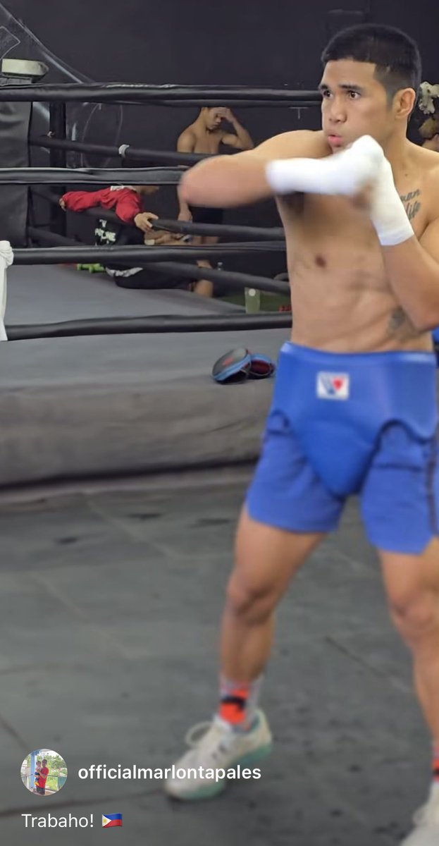 太陽ボクシング tweet media