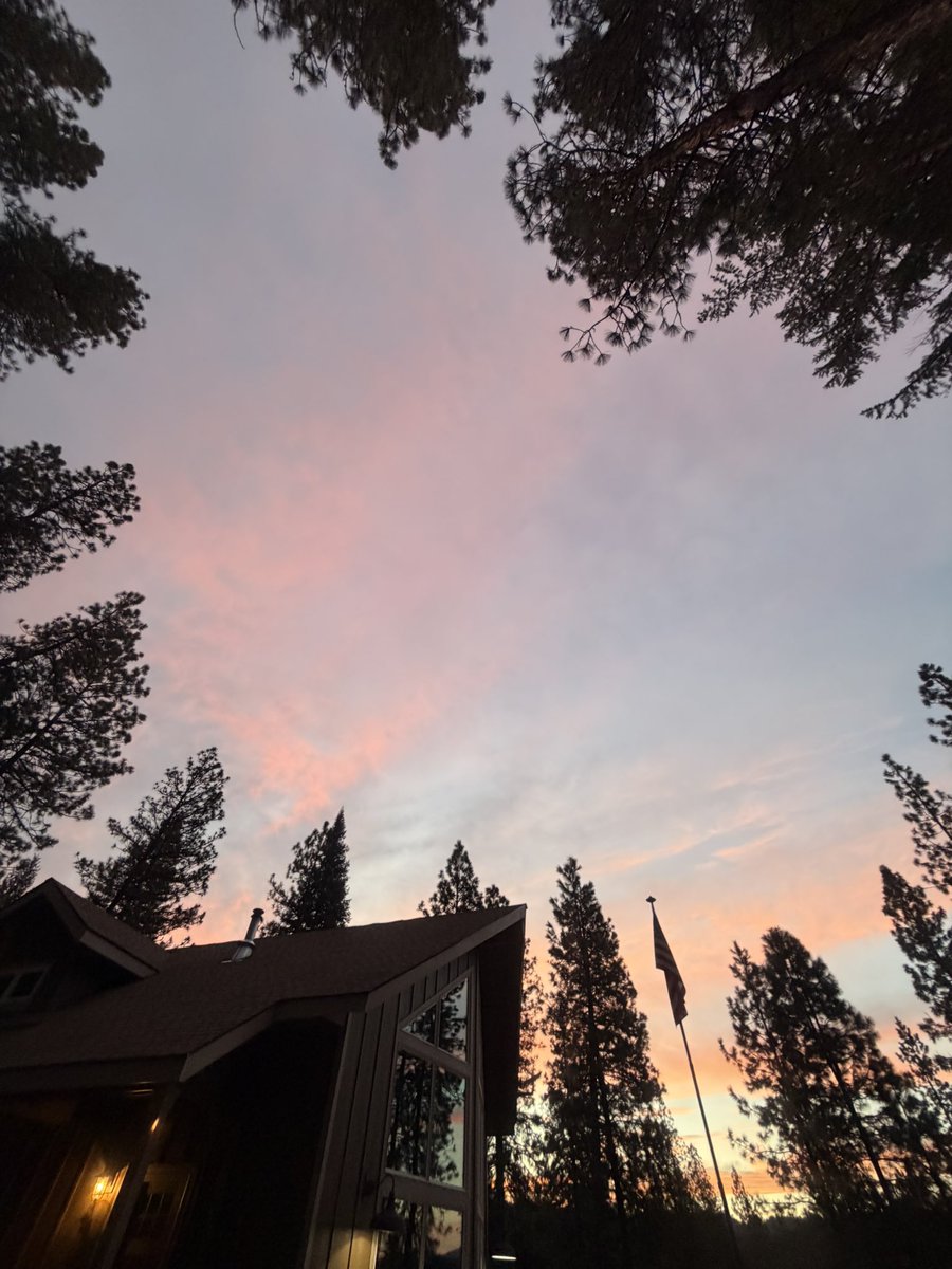 Greywolf 🇺🇸🐺🩸 tweet media