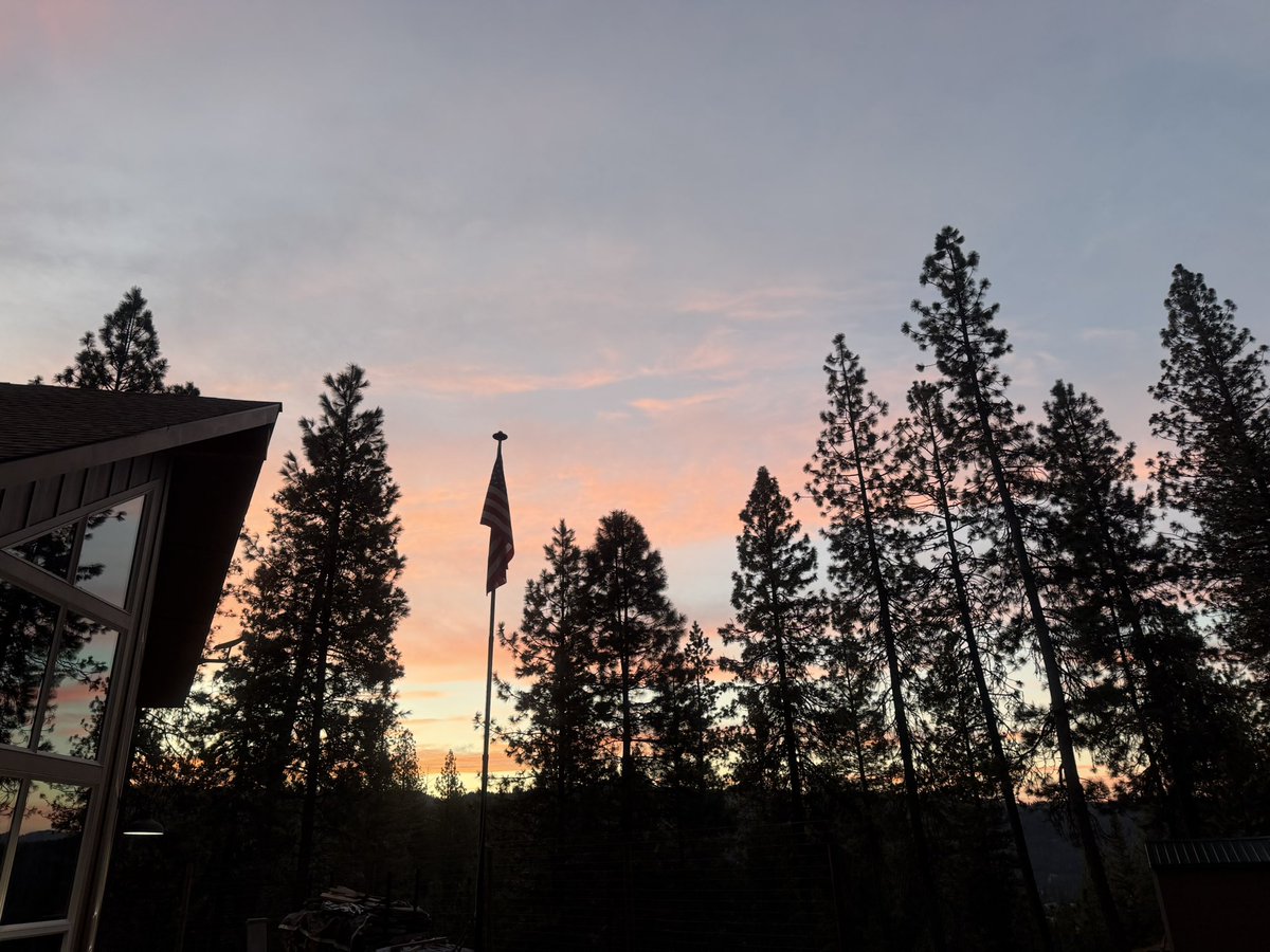 Greywolf 🇺🇸🐺🩸 tweet media